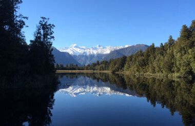 Fox Glacier and Lake Matheson Tour