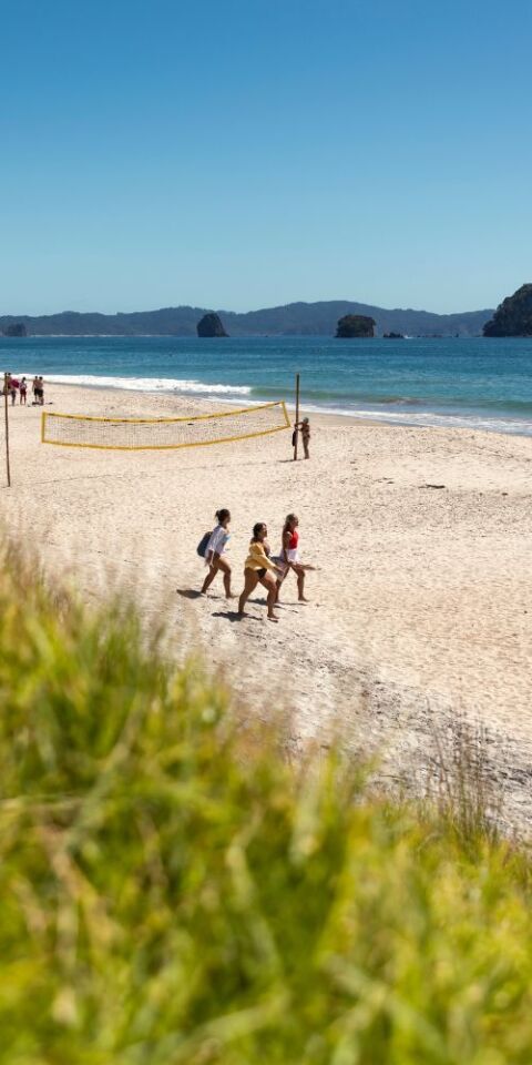 People walking on Hahei Beach (credit to Miles Holden)
