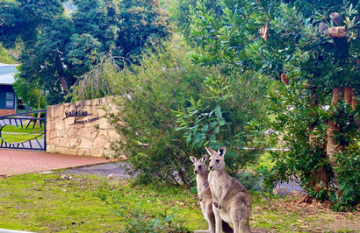 Great Ocean Road and Grampians Tour - Day 4
