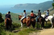 Nelson Guided Horse Trek