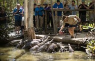 General Admission to Hartley's Crocodile Adventures