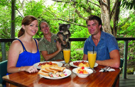 Breakfast with the Koalas at Hartley's Crocodile Adventures