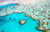 Heart Reef Scenic Flight with Ocean Rafting