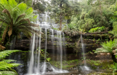 New Zealand holidays & tours