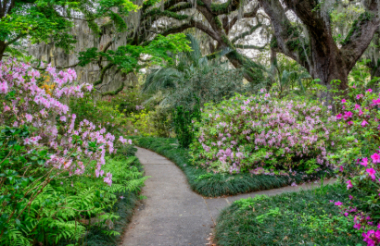 NZ self drive itineraries and package holidays