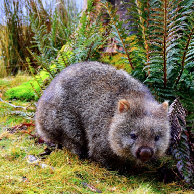 Discover everything New Zealand has to offer with these great vacation packages