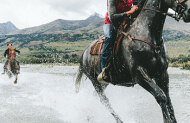 High Country Horses Glenorchy - Mountain High, River Deep