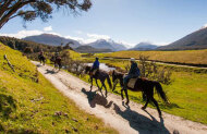 High Country Horses Glenorchy - Mid Rivers Ride