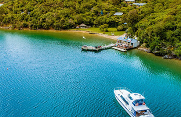 The Ultimate NZ Coastal Safari - Day 6