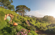 Behind the Scenes Tour at Hobbiton