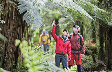 The Hollyford Wilderness Experience - Day 3