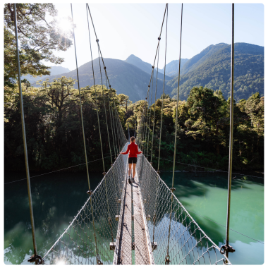 Hollyford Wilderness