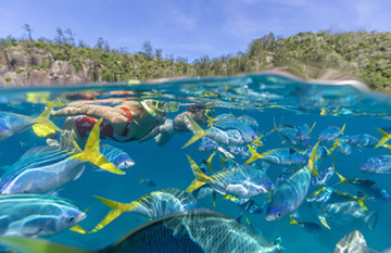 Coral Expeditions: Outerknown Adventures on the Great Barrier Reef - Day 4