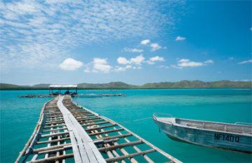 Outback Spirit - Cape York Wilderness Adventure - Day 12