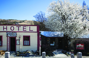 Ski the South Island Tour - Day 4