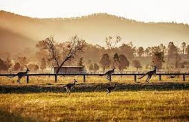 Hunter Valley - Free Day