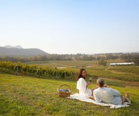 Hunter Valley Food and Wine Tours