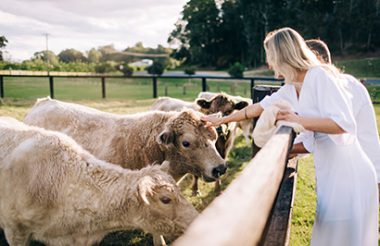 Experience the best of New Zealand with these touring ideas