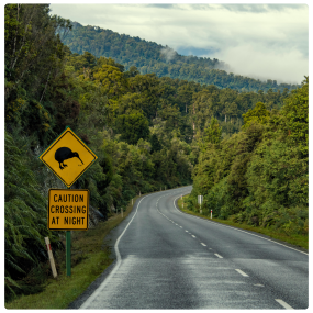 Kiwi Crossing