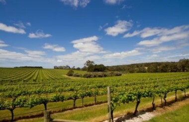 Discover everything New Zealand has to offer with these great vacation packages