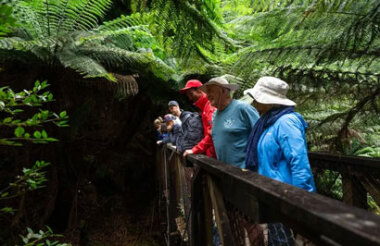 Explore New Zealand with these great holiday ideas