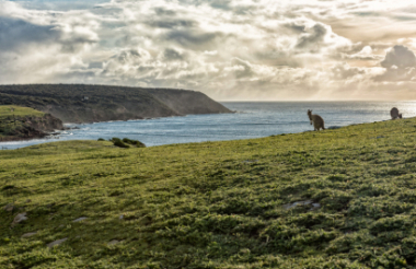 Exploring New Zealand's incredible scenery