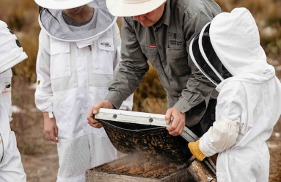 Ultimate Kangaroo Island Roadtrip - Day 5