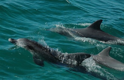 Sydney to Melbourne Coastal Explorer - Day 3