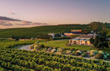 Discover everything New Zealand has to offer with these great vacation packages