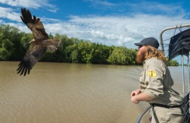 Spectacular Jumping Crocodile Cruise on the Adelaide River