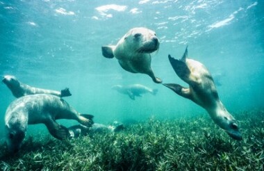 Experience the best of New Zealand with these touring ideas