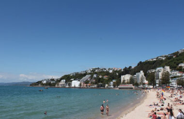 Wellington Scenic Half Day Tour