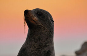 Exploring New Zealand's incredible scenery