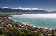 3 Hour Sightseeing Tour with Kaikoura Shuttles