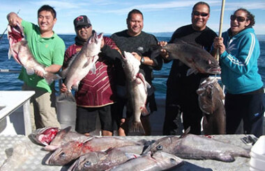 Fishing Charter with Kaikoura Fishing Tours