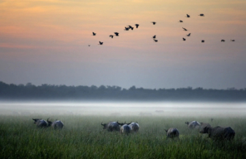 Autopia Tours: Kakadu Katherine Gorge Tour - Day 1