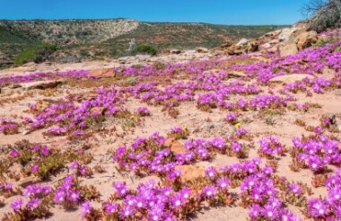 Kalbarri National Park