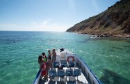 Island Explorer Tour & Dolphin Swim with Kangaroo Island Marine Adventures