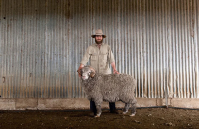 The Great Coastal Journey - Day 8