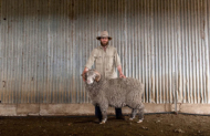 Wool Mill Tour with Kangaroo Island Wool
