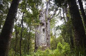 The Winterless North - Day 6