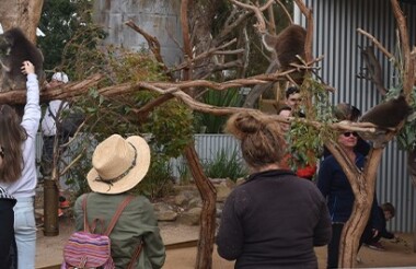 Kangaroo Island Wildlife Park - suggested activity