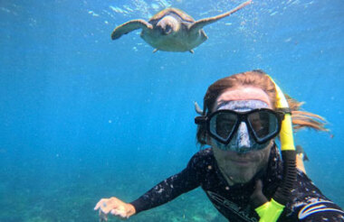 Swim with Turtles Tour with Kiff & Culture