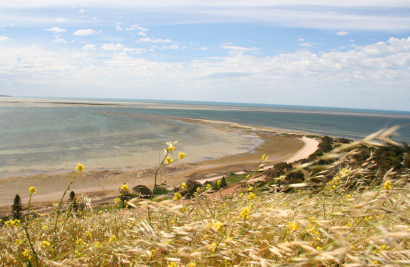 The Great Southern Ocean Vacation - Day 4