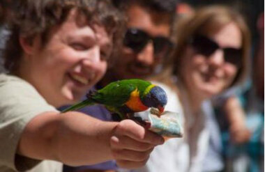 Kiwi Birdlife Park