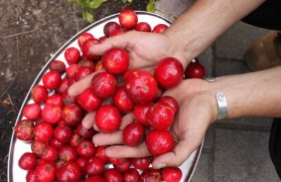 West Australian Explorer Tour - Day 5