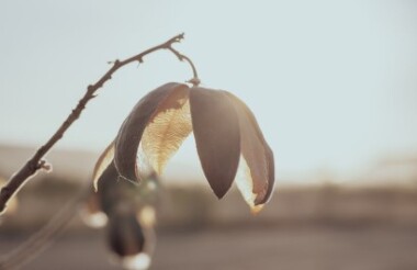 New Zealand holidays & tours