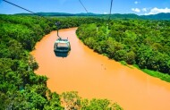 Skyrail Rainforest Cableway Return Journey