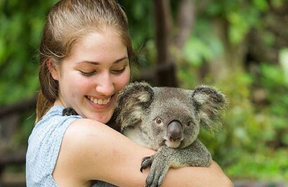Australian East Coast Explorer - Day 27