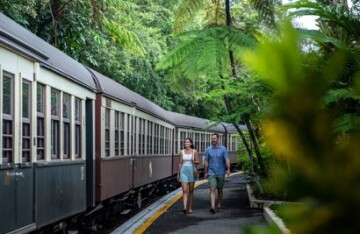 Rainforest & The Great Barrier Reef Adventure - Day 2